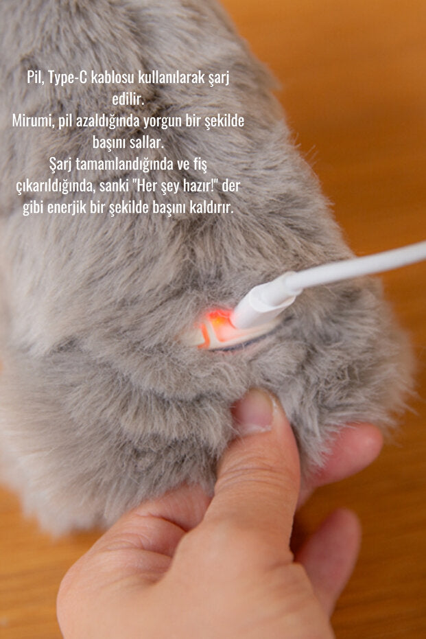 Şirin Robot Peluş - Her Yerde Sevimlilik!